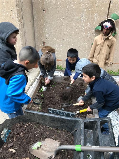 Compost 2 